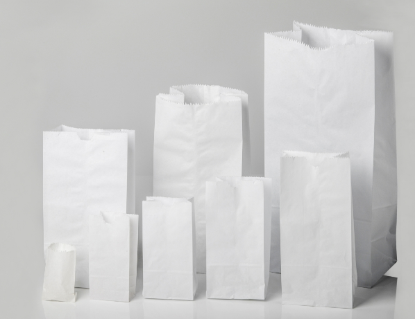 Bolsa Papel Blanca #3 100 pzas