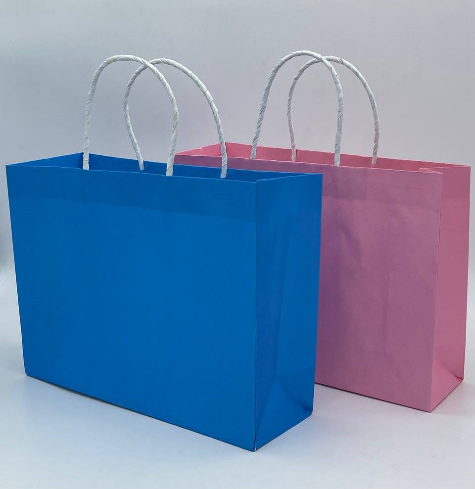 Bolsa Papel Colores Boutique Asa Dura Chica C/1