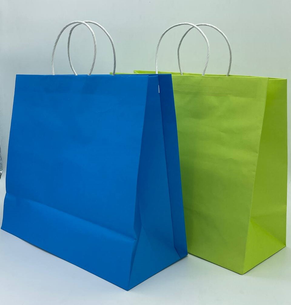 Bolsa Papel Colores Boutique Asa Dura Mediana C/10