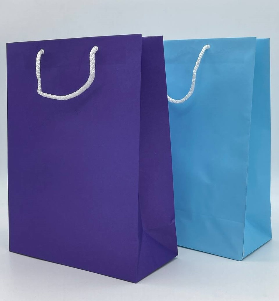 Bolsa Papel Colores Macrame Chica C/10