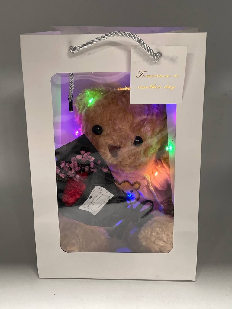 Arreglo Bolsa Con Oso y Luz