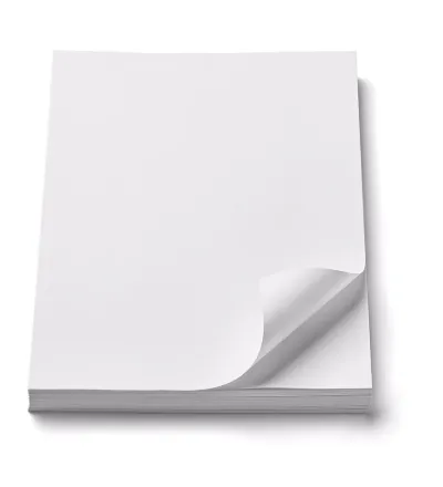 Papel Hoja Carta Blanca 100h